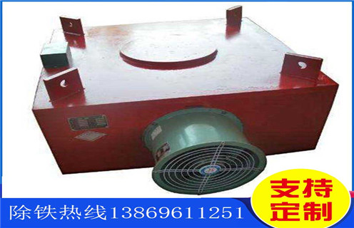 濰坊風(fēng)冷式電磁除鐵器供應